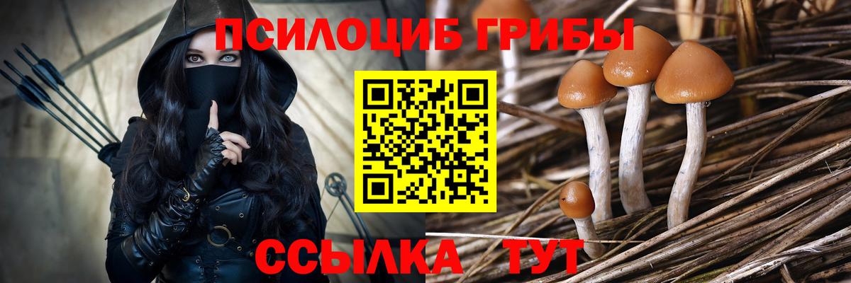 Галлюциногенные грибы MAGIC MUSHROOMS  Вход с VPN  Галлюциногенные грибы GOLDEN TEACHER  Алапаевск 