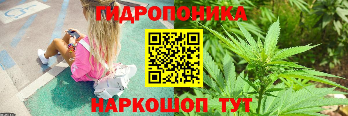 Каннабис индика  Канабис Amnesia  Вход с VPN  Алапаевск  Шишки марихуана ГИДРОПОН  Шишки марихуана VHQ 